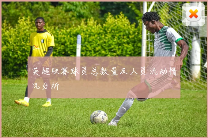 英超联赛球员总数量及人员流动情况分析