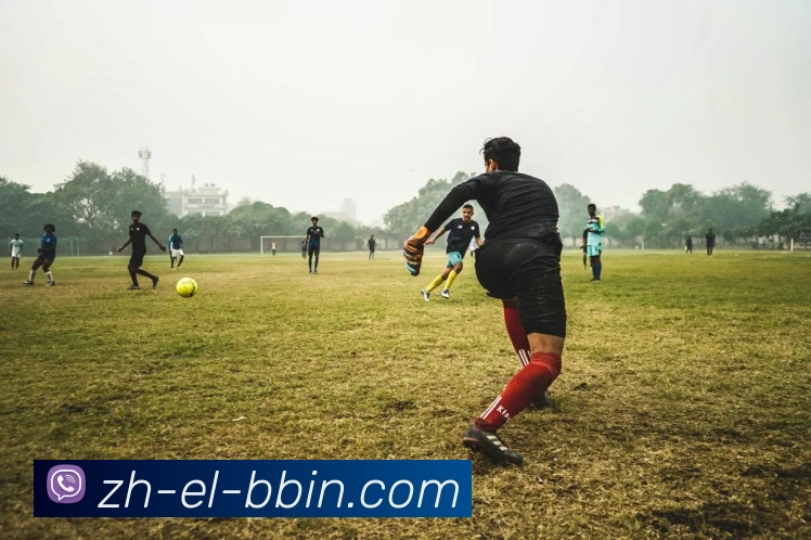 多媒体互动体验